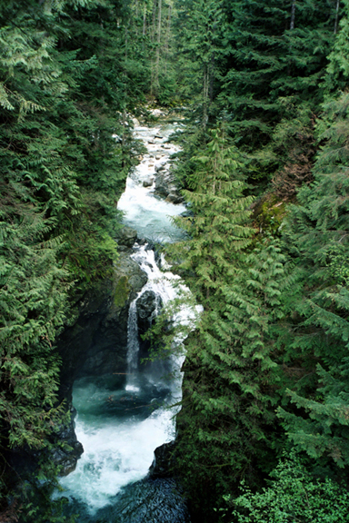Lynn Valley